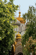 Novodevichy Convent cathedral and chapel