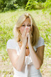 pollen allergy