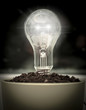 light bulb