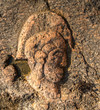Rock carvings on the beach