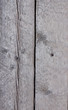 Old Shabby Wooden Planks or wooden old texture as a retro patter