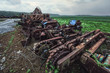 agricultural scrap