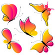 butterfly,butterflies vector
