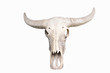 Buffalo Skull On White Backgro...