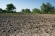 crop devastation after flooding