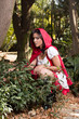 Red riding hood