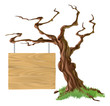 Vector: Sign Tree Illustration Sign Tree Illustration