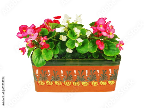 Photo: Jardinière de bégonias Jardinière de bégonias