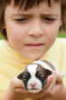 Foto: Young boy holding newborn puppy dog with great care Young boy holding newborn puppy dog with great care