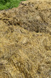 Foto: Stallatico Stallatico