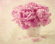 Peony flowers