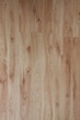 Wooden floor texture