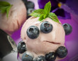 Foto: Gelato ai mirtilli - Blueberry ice cream Gelato ai mirtilli - Blueberry ice cream