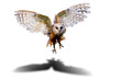 Fliegende Eule
