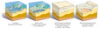 Fossilisation