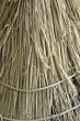 Thatched Cottage