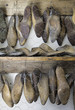 Wooden Clogs