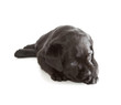 Black Labrador Retriever Puppy