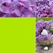 Flieder - Collage