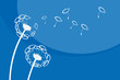 Ichthys Pusteblume
