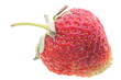 strawberry on white background