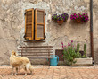 Sovana, tipico scorcio