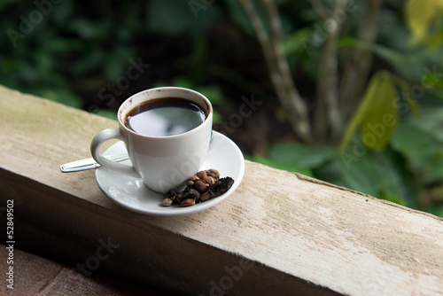 Photo: Kopi Luwak Kopi Luwak
