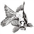 goldfish sketch vector