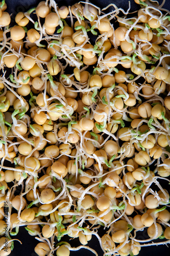 Photo: Pea sprouts Pea sprouts