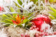 nature background