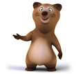 Fun bear