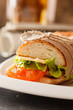 Fresh and tasty sandwich
