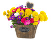 Photo: bouquet of aster and mum flowers bouquet of aster and mum flowers