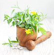 Alternative Medicine
