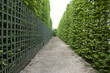 green fence