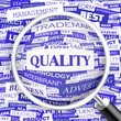 QUALITY. Word cloud concept illustration.  