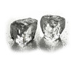ice cubes