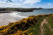 Photo: Spring Views around Caemes Bay Spring Views around Caemes Bay