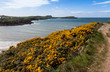 Photo: Spring Views around Caemes Bay Spring Views around Caemes Bay
