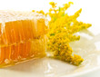 honeycomb