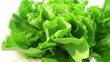 Lettuce