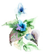 Photo: Violet flowers Violet flowers