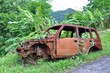 Oldtimer