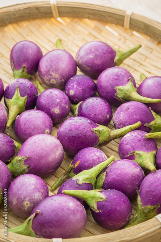 Photo: Purple eggplant or cockroach berry Purple eggplant or cockroach berry