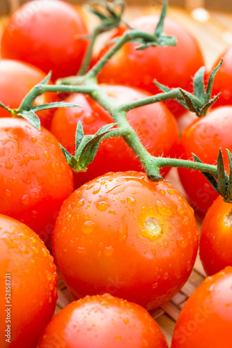 Photo: Cherry tomatoes Cherry tomatoes