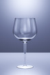 Wine glass