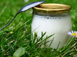produits laitiers,pot de yaourt dans l'herbe