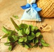 pfefferminze mit kräuterkissen