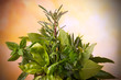 Aromatic herbs - Erbe aromatiche