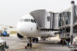 Airplane, Charles de Galle airport, Paris